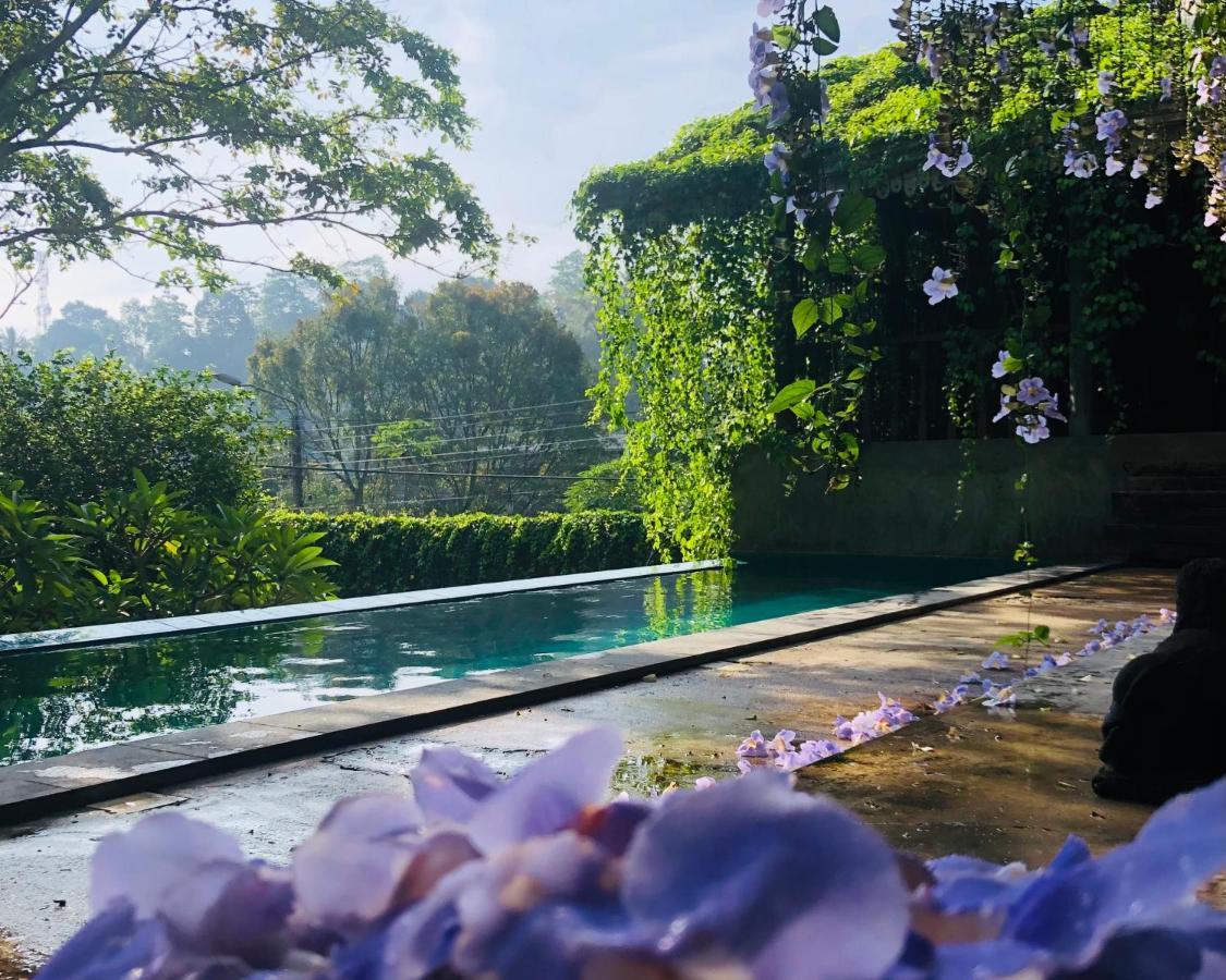 Goddess Kandy Luaran gambar